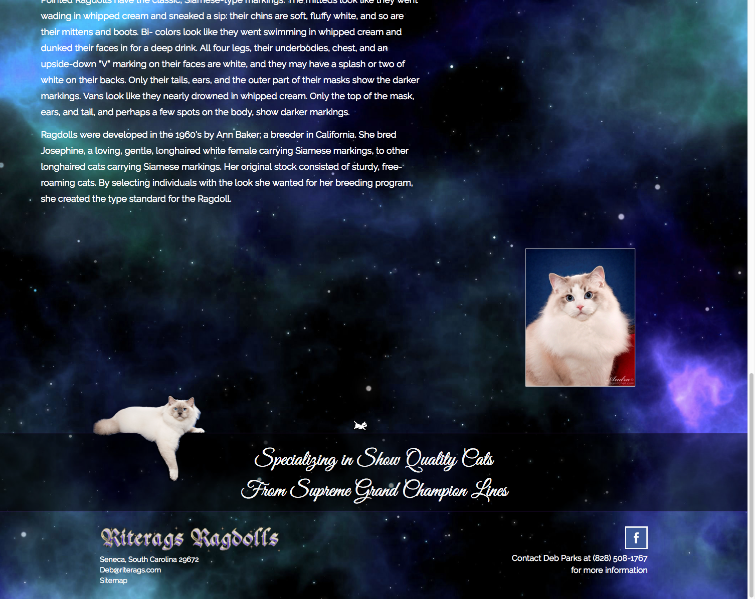 Example 5